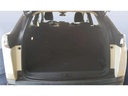 TRUNK