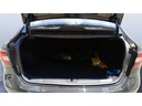 TRUNK
