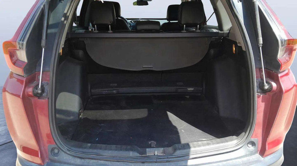 TRUNK