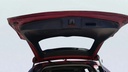 TRUNK HOOD