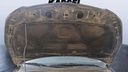 CAR HOOD