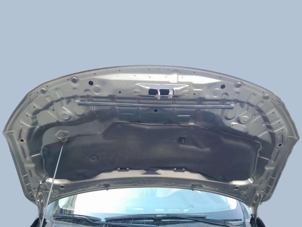 CAR HOOD