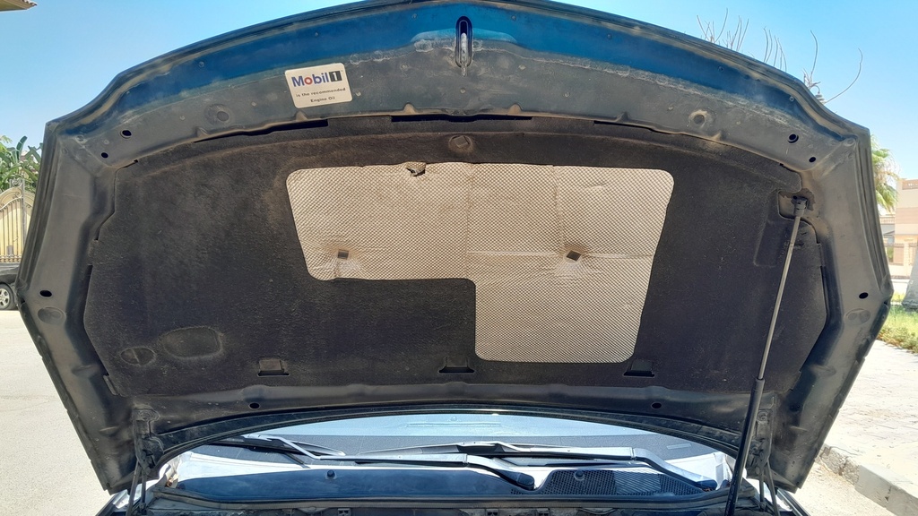 CAR HOOD