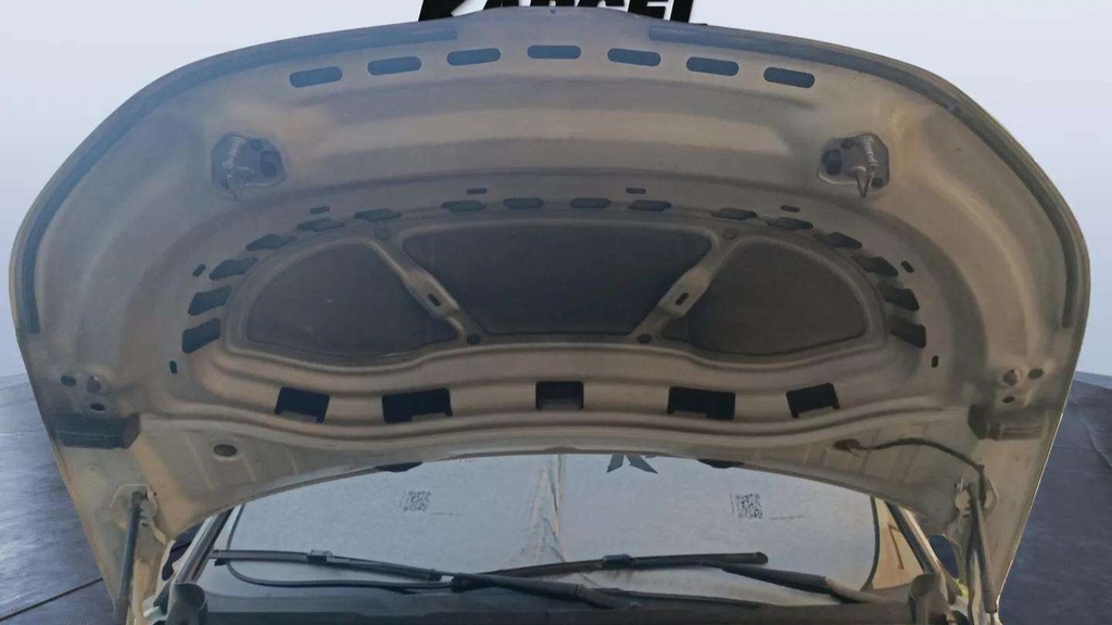 CAR HOOD
