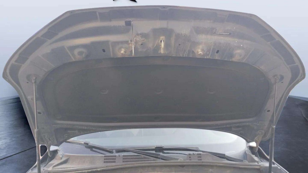 CAR HOOD