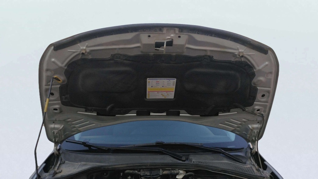 CAR HOOD