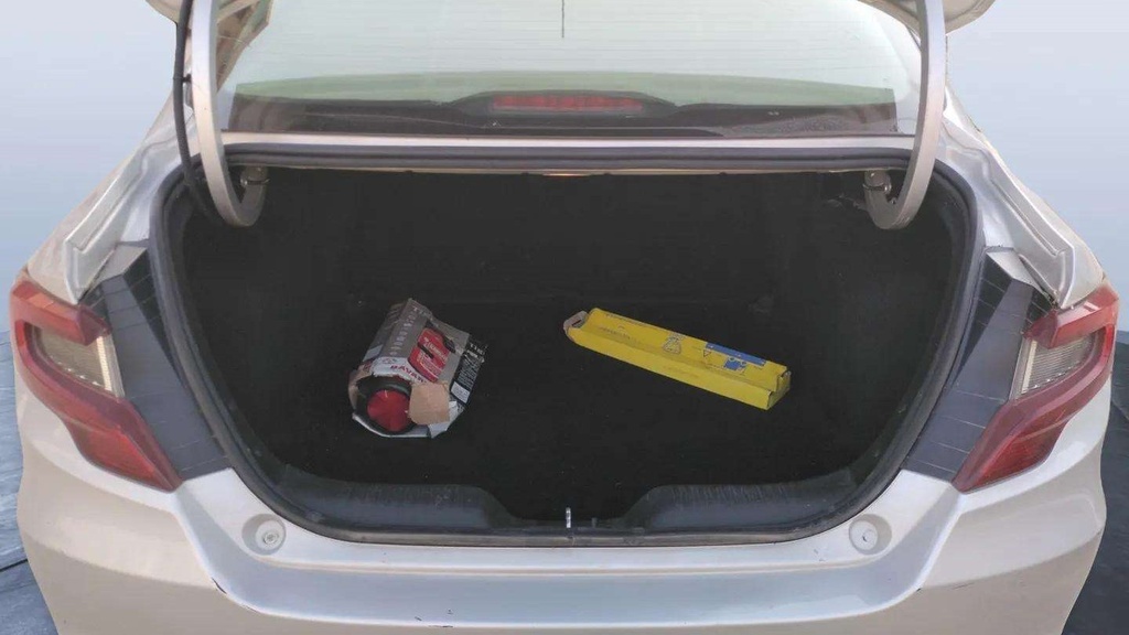 TRUNK