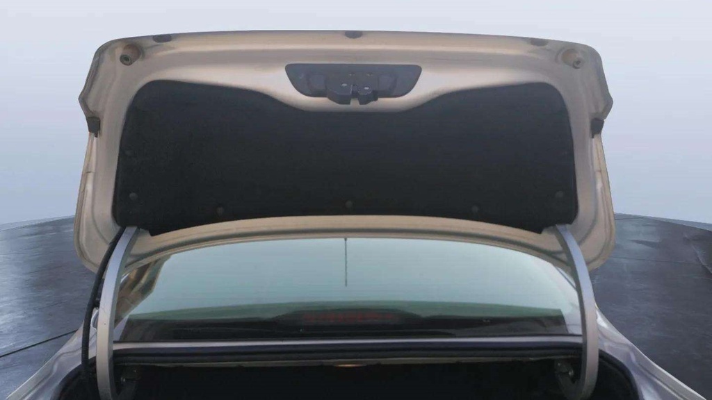 TRUNK HOOD