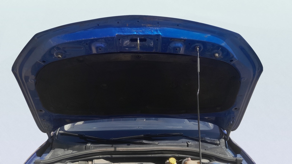 CAR HOOD