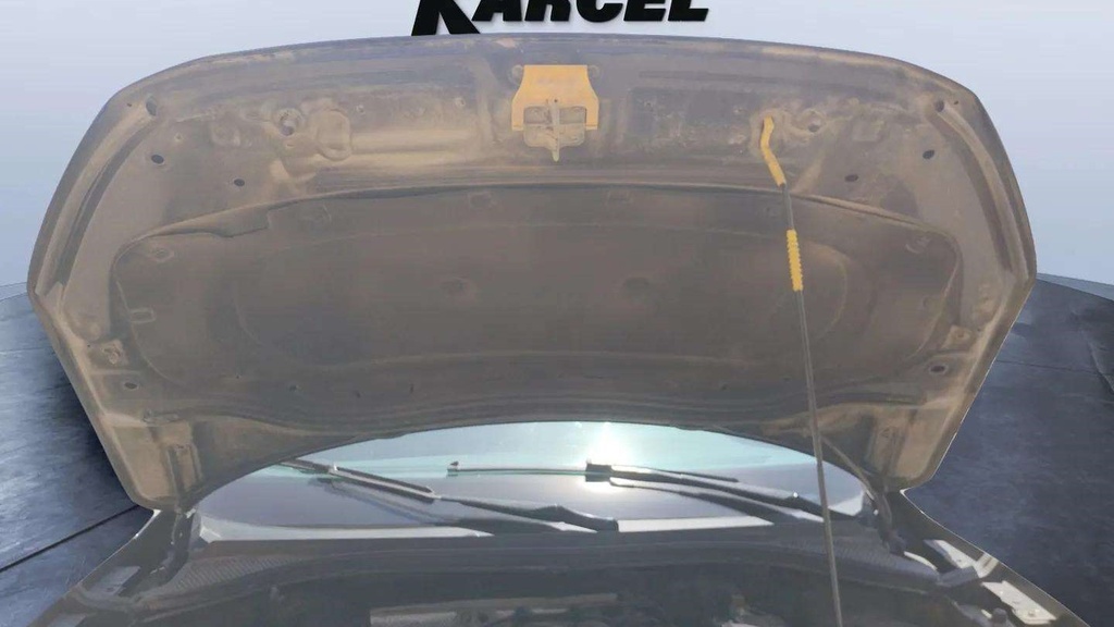 CAR HOOD