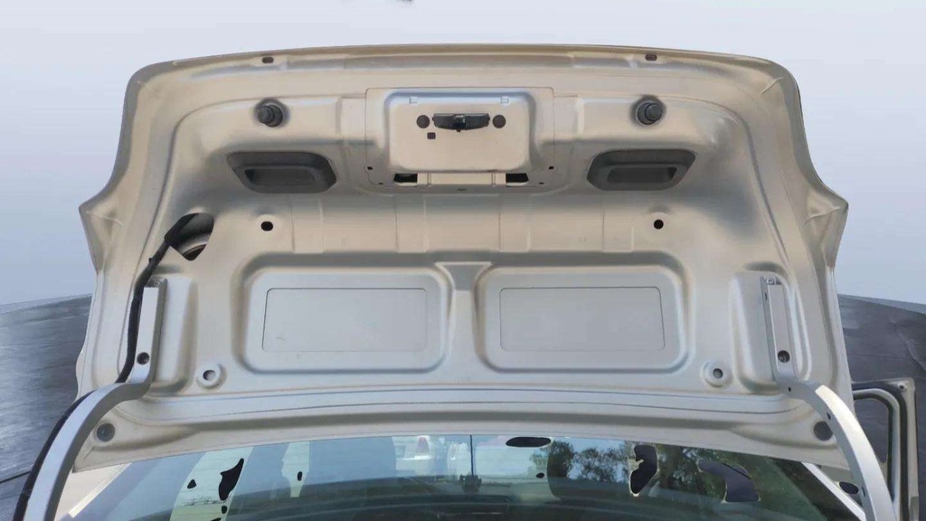 TRUNK HOOD
