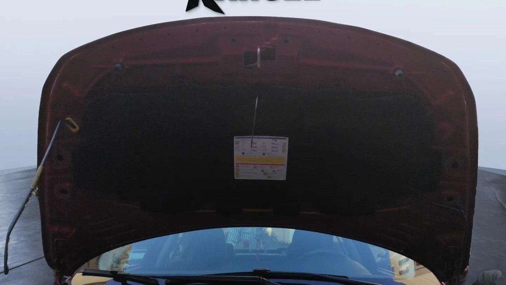 CAR HOOD