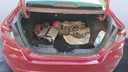 TRUNK