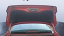TRUNK HOOD