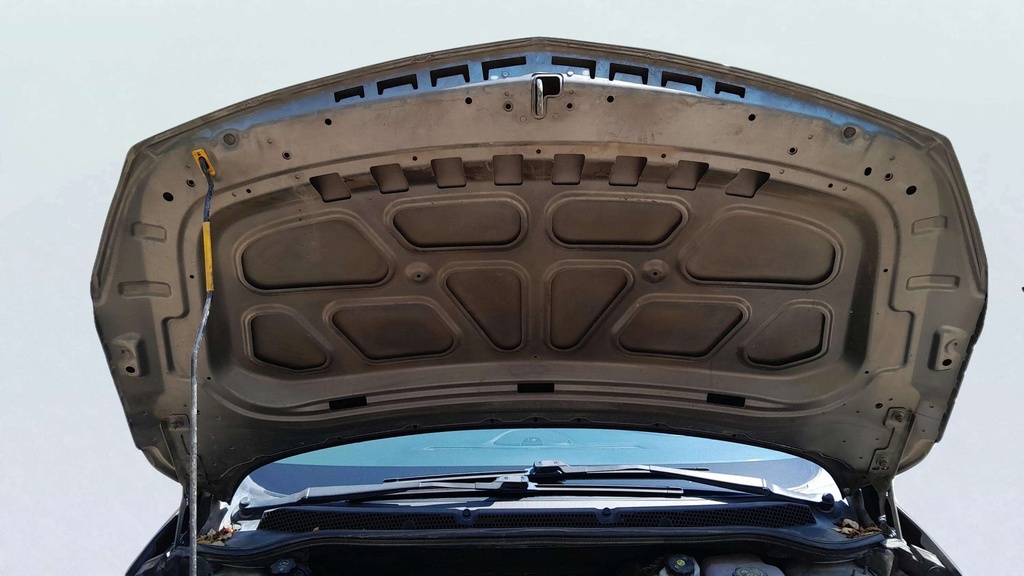 CAR HOOD