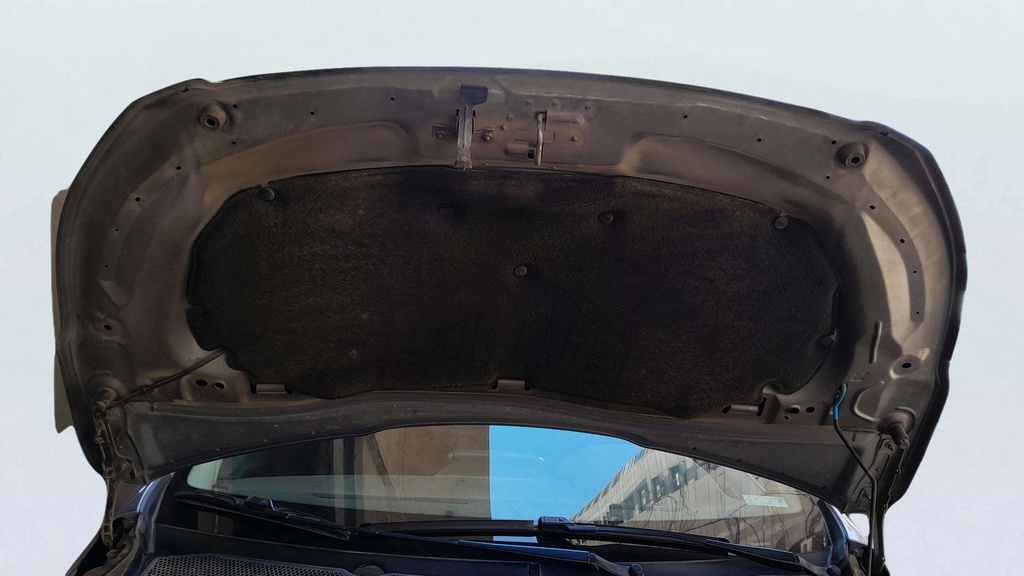 CAR HOOD