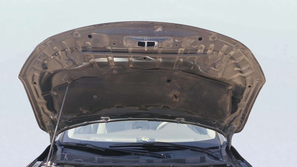 CAR HOOD
