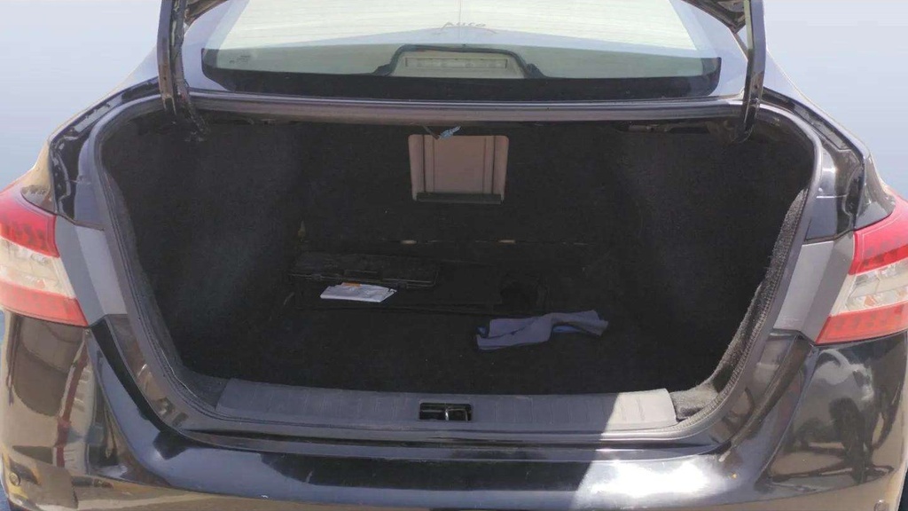 TRUNK