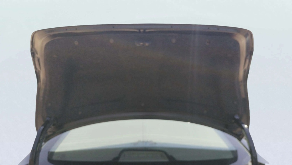TRUNK HOOD