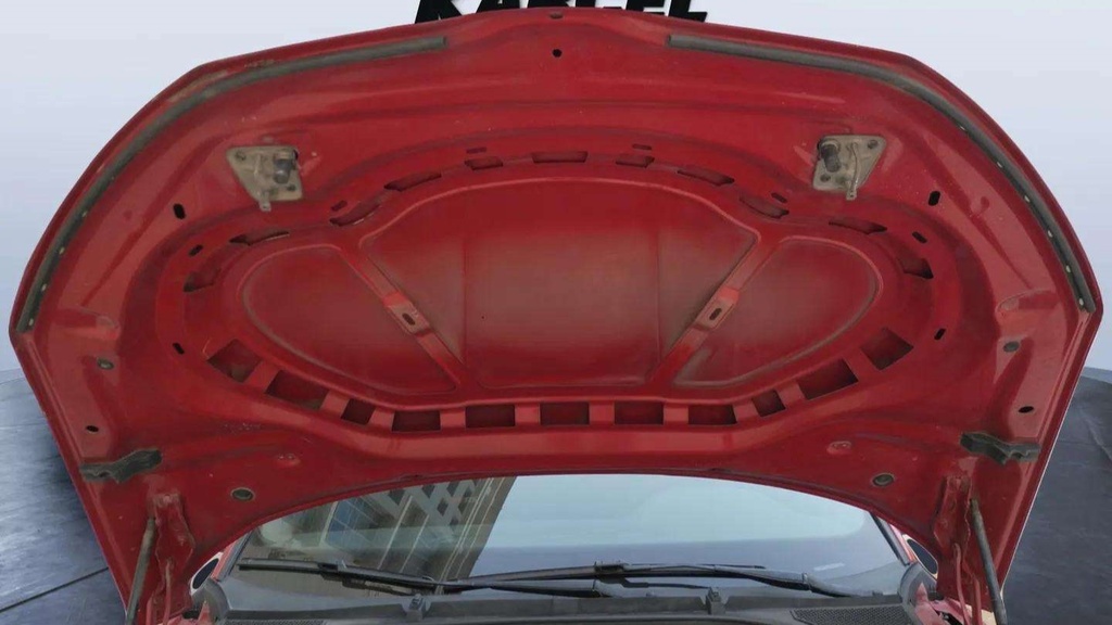 CAR HOOD