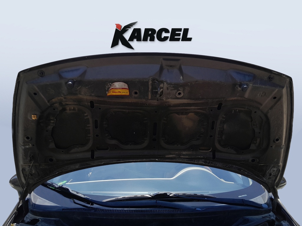 CAR HOOD