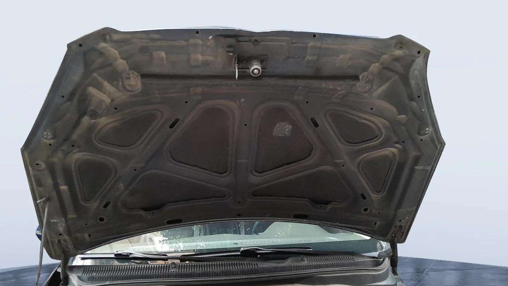 CAR HOOD