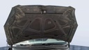 CAR HOOD