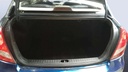 TRUNK