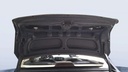 TRUNK HOOD