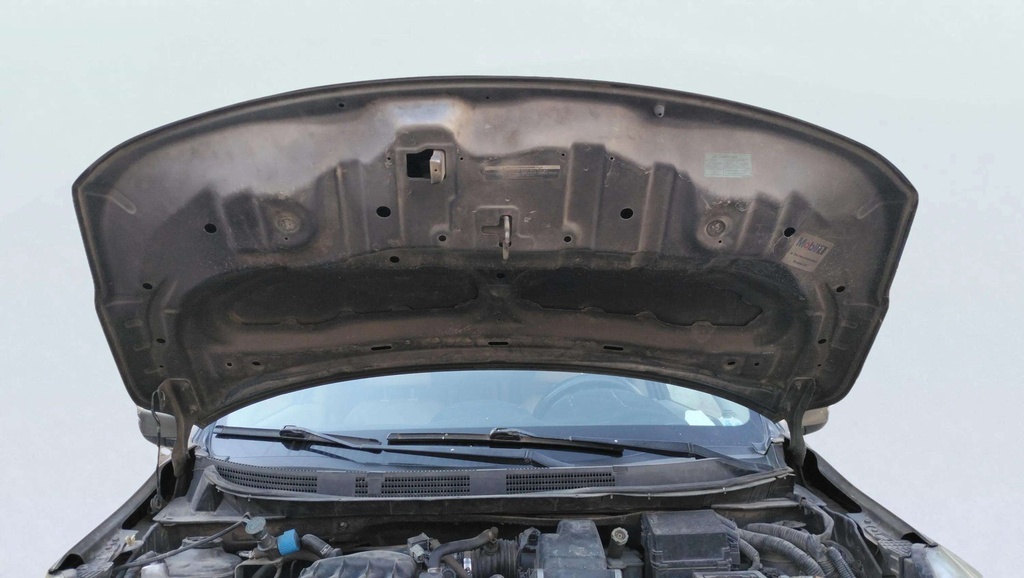 CAR HOOD