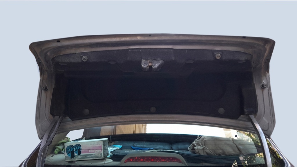 TRUNK HOOD