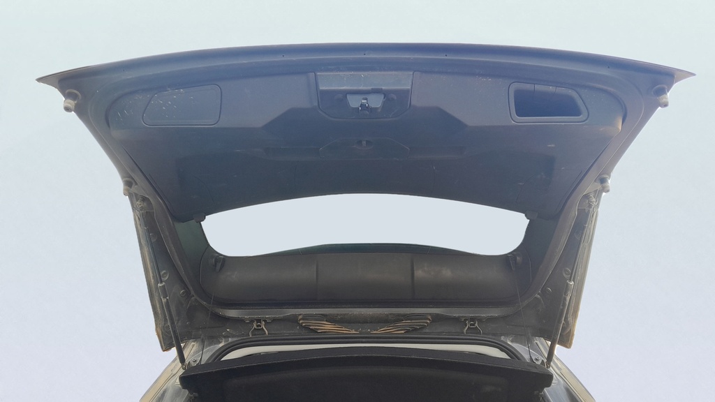 TRUNK HOOD