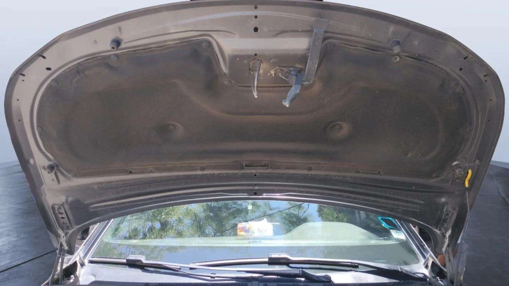 CAR HOOD