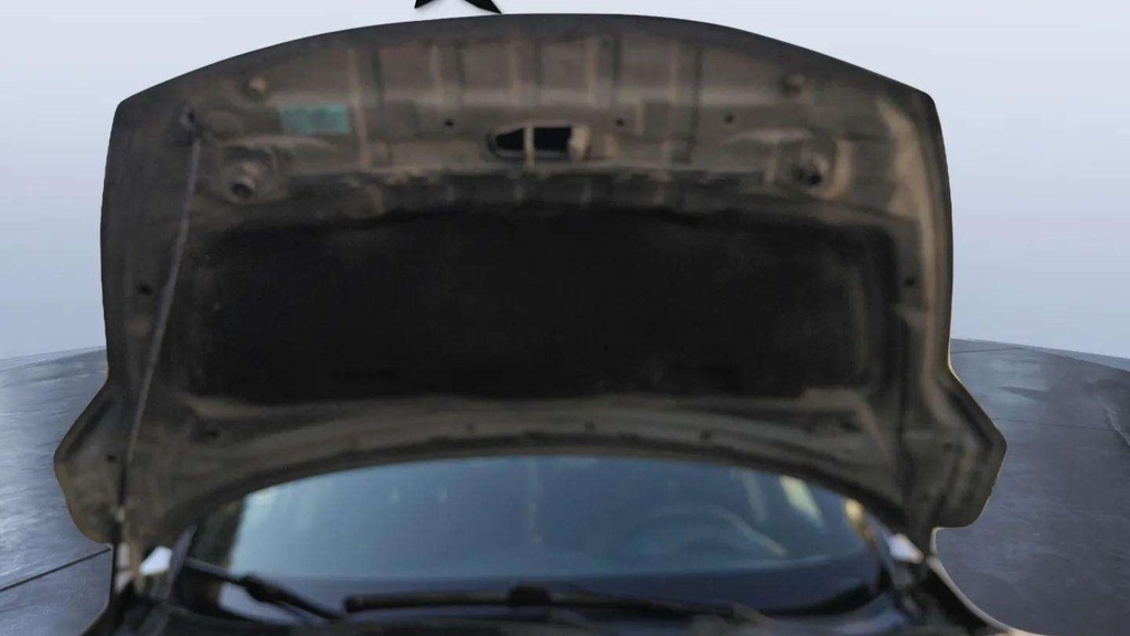 CAR HOOD