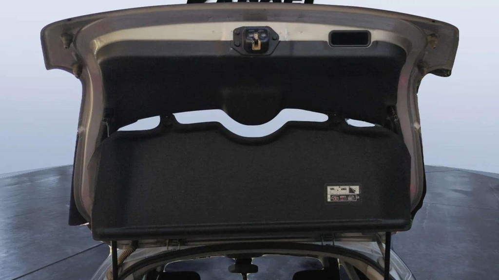 TRUNK HOOD
