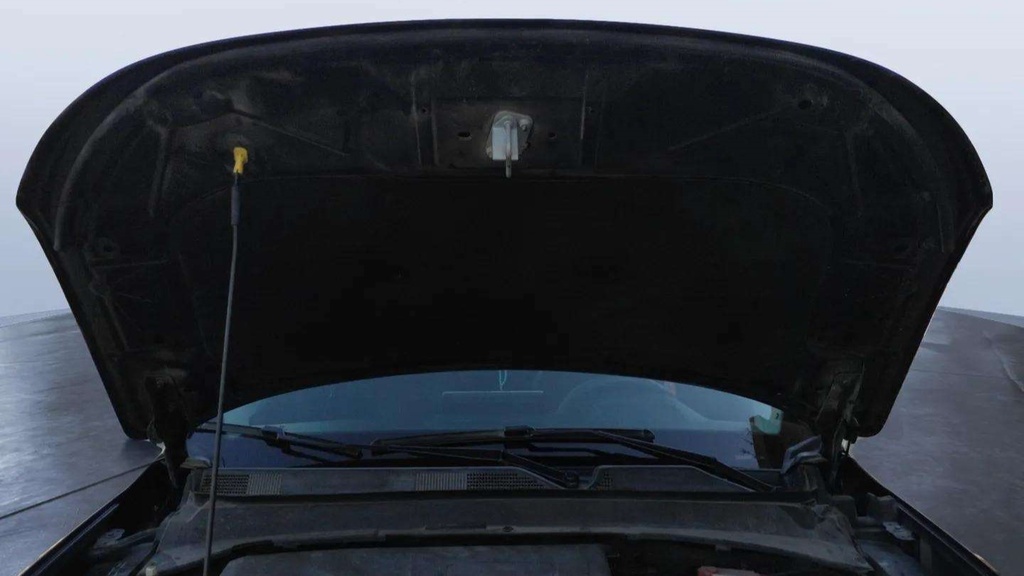 CAR HOOD