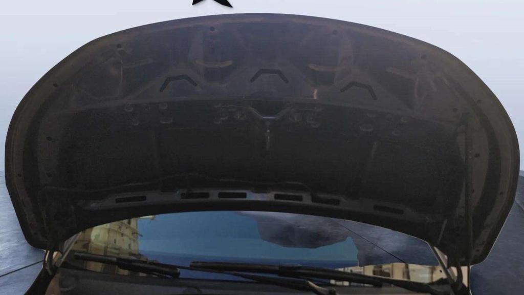 CAR HOOD