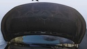 CAR HOOD