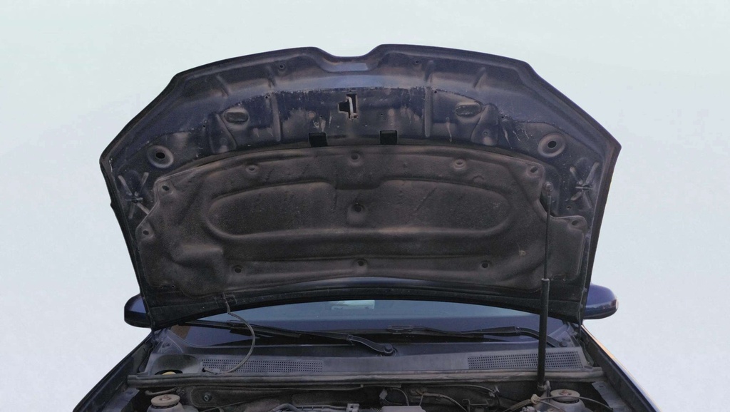 CAR HOOD
