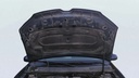 CAR HOOD