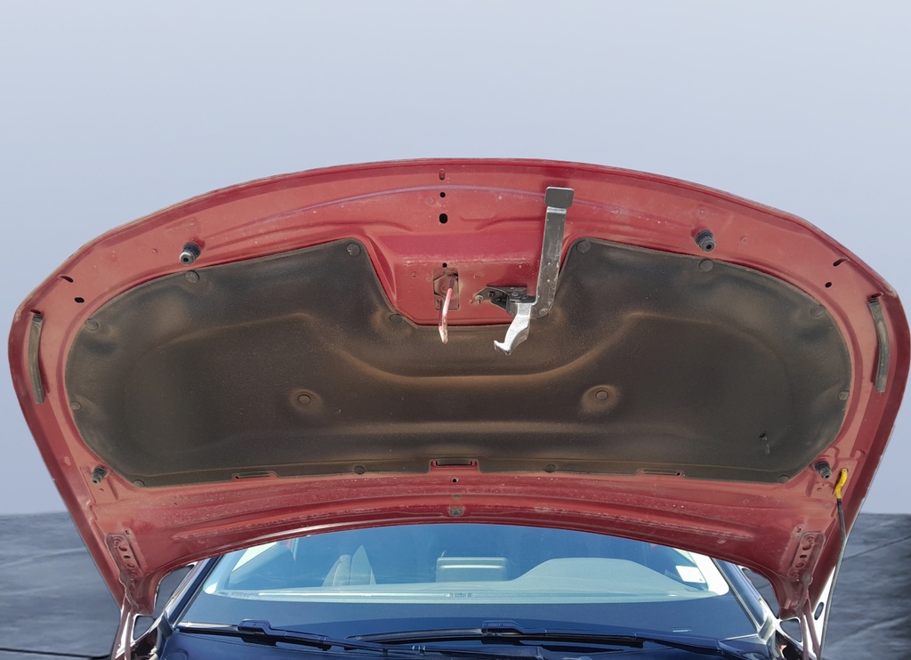 CAR HOOD