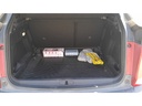 TRUNK