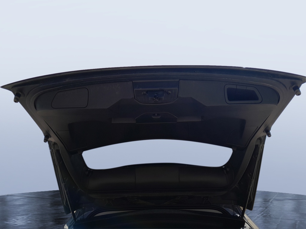 TRUNK HOOD