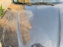 20250308_170411.jpg