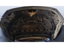 CAR HOOD