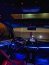 IMG_9911.jpg