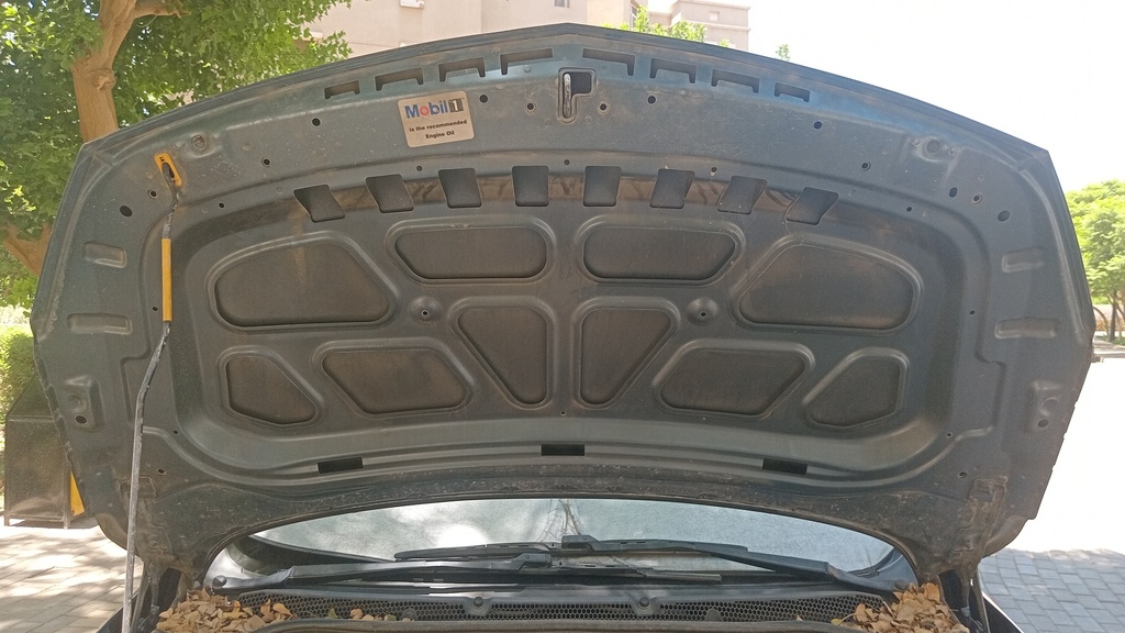 CAR HOOD