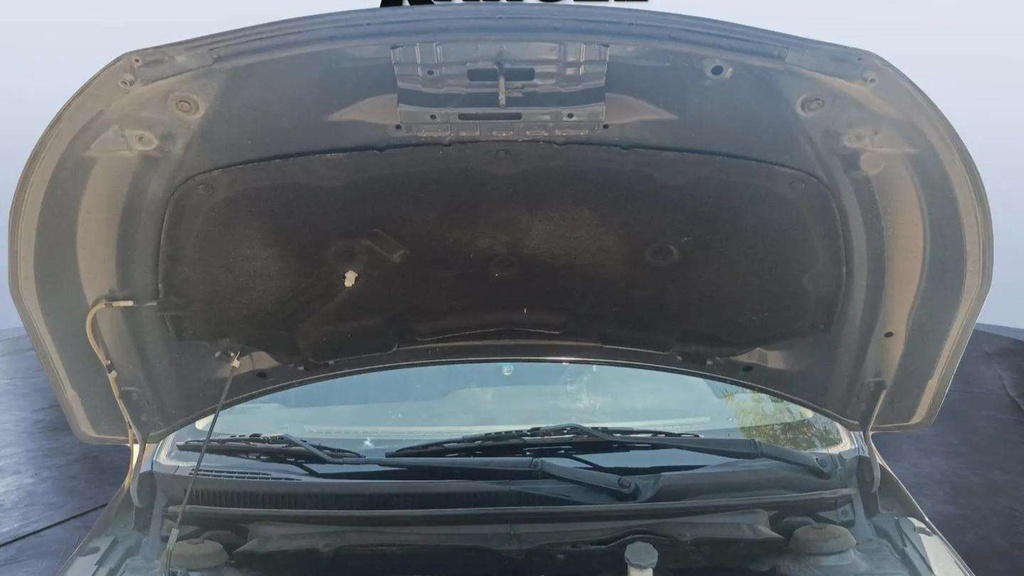 CAR HOOD