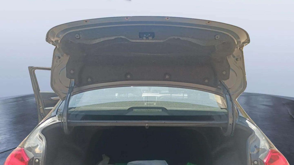 TRUNK HOOD