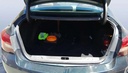 TRUNK